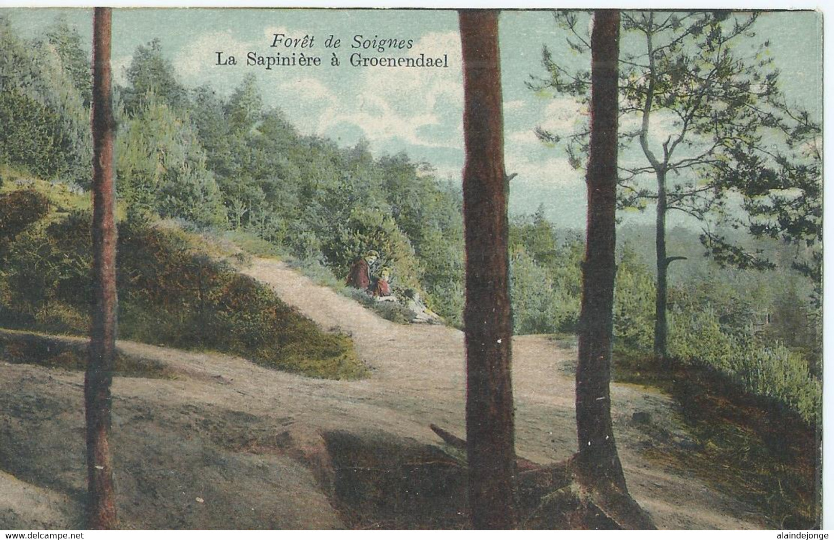 Groenendaal - La Sapinière à Groenendael - Forêt De Soignes - Höilaart