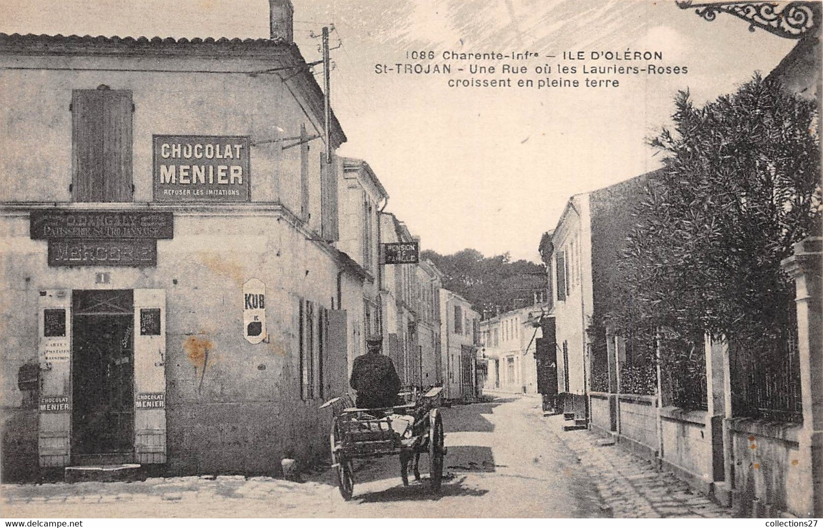 17-ILE D'OLERON- SAINT-TROJAN-LES-BAINS-UNE RUE OU LES LAURIERS-ROSE CROISSENT EN PLEINE TERRE - Ile D'Oléron