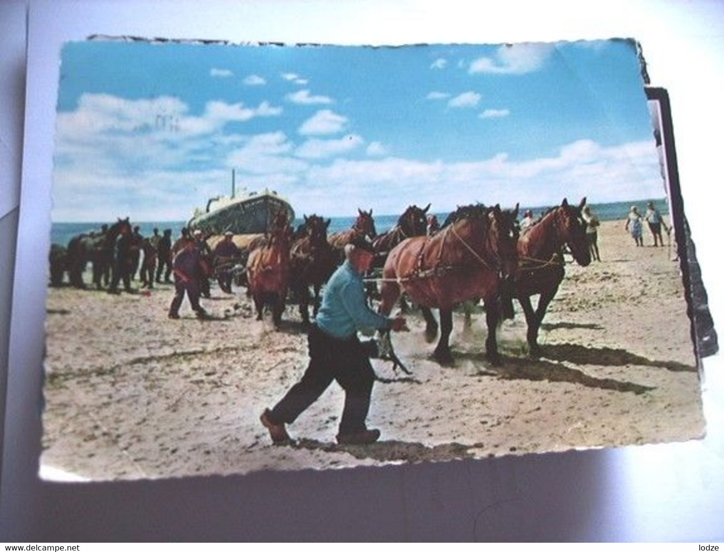 Nederland Holland Pays Bas Ameland Hollum Reddingsboot Met Paarden - Autres & Non Classés