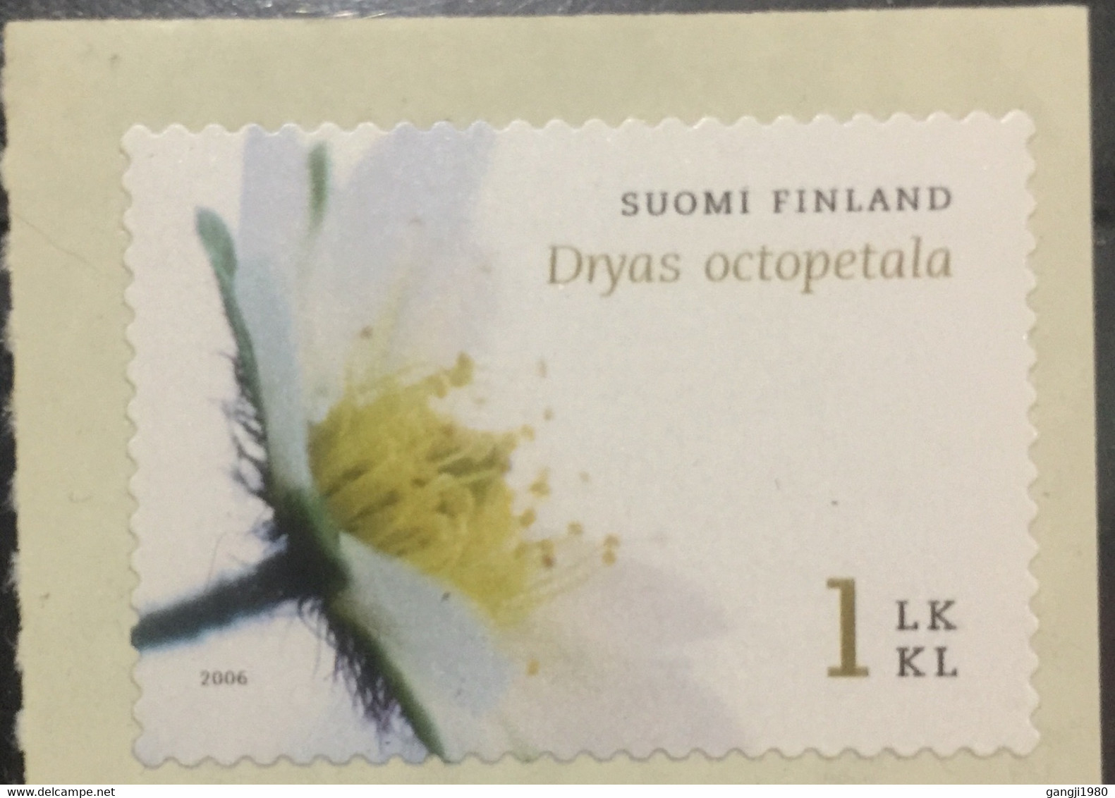 FINLAND 2006 MNH STAMP ON  DRYAS OCTOPETALA - Unused Stamps