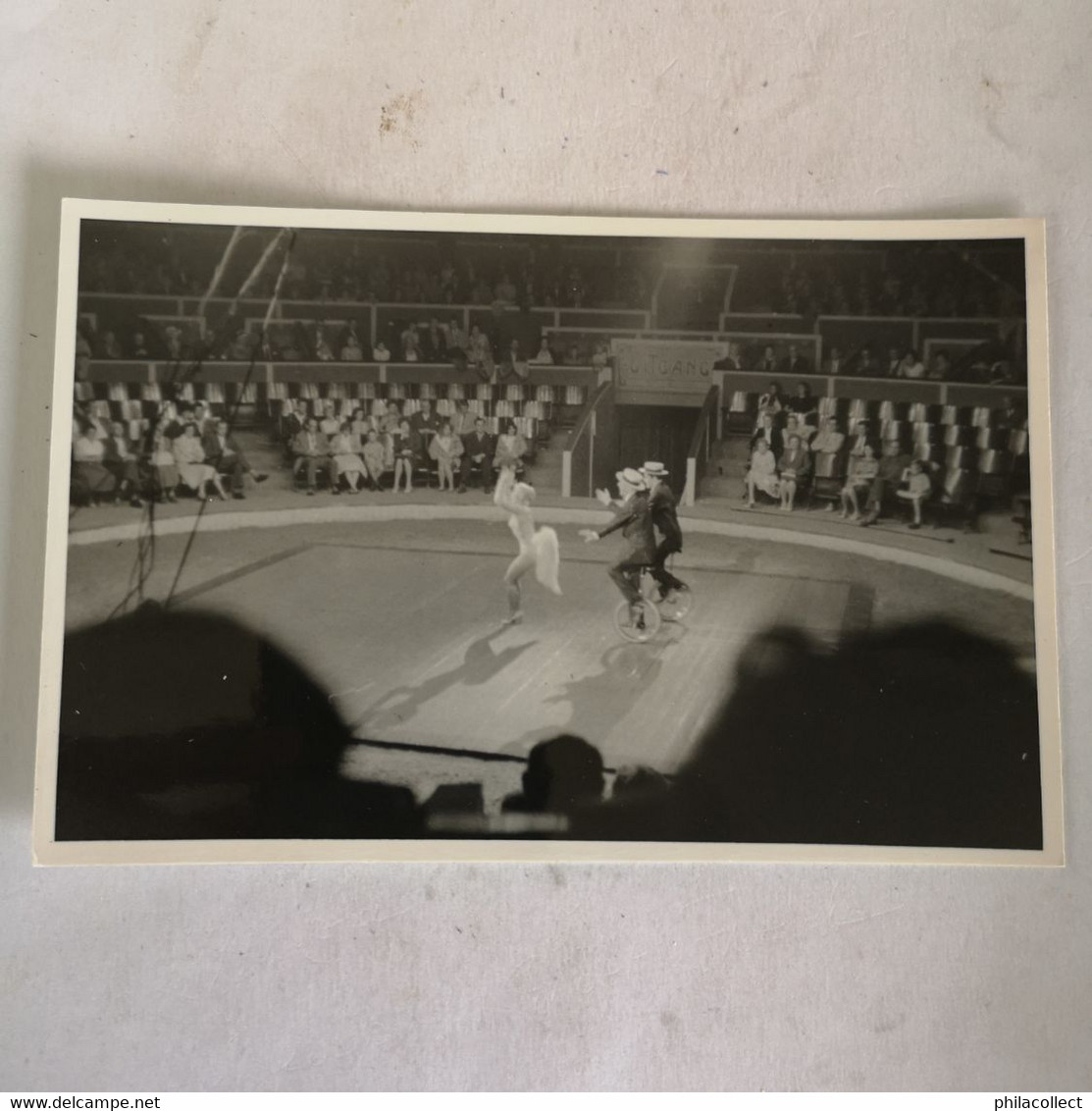 Circus - Cirque // Carte Photo - RPPC To Identify, Prob. Belgie No.6. // Mono Cycle Act.19?? - Zirkus