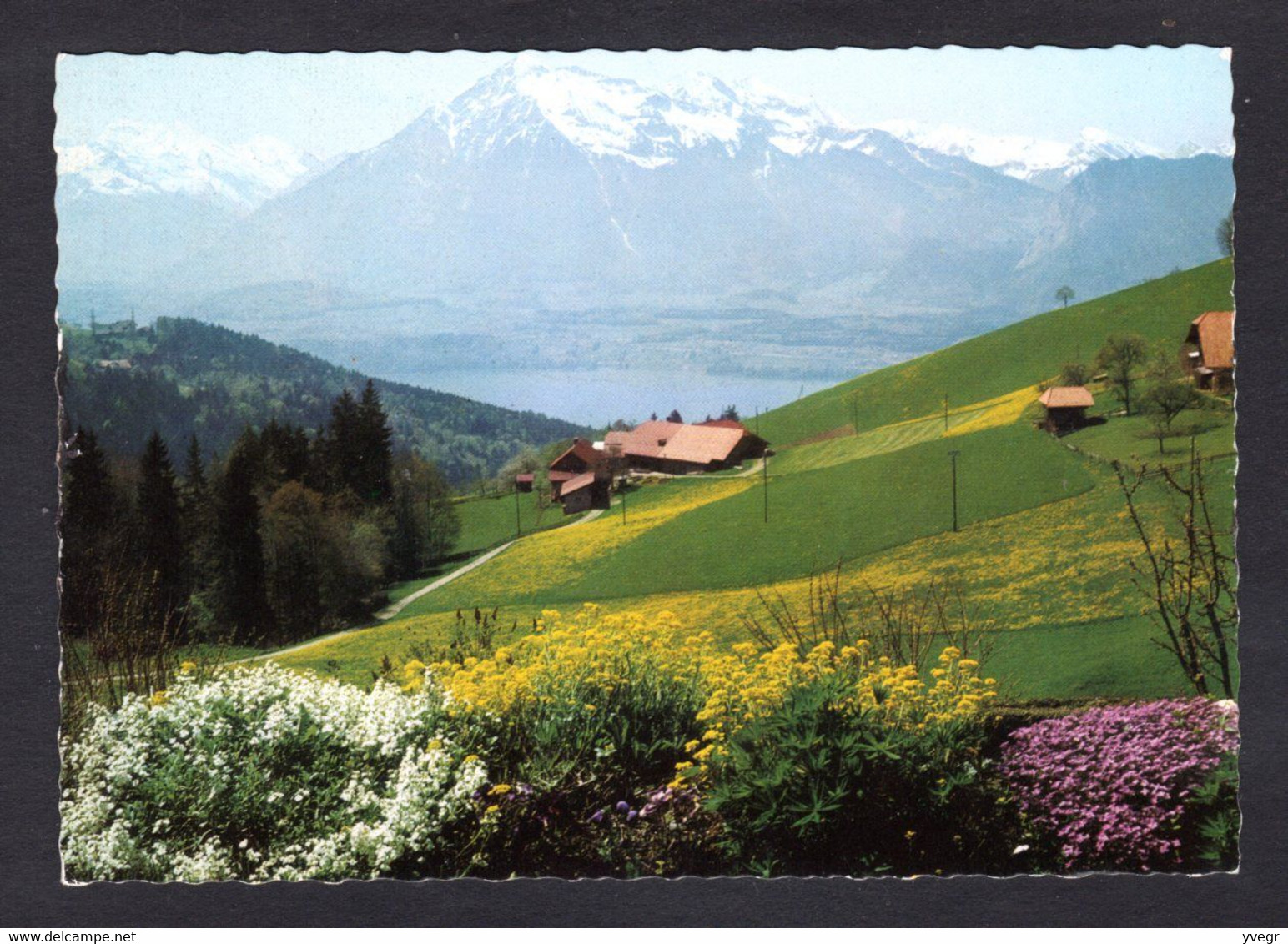 Suisse - Hôtel-Restaurant NIESENBLICK - HEILIGENSCHWENDI Ob Thun -Familie Steinmann, Ausblick Vom Hôtel Thumersee - Heiligenschwendi