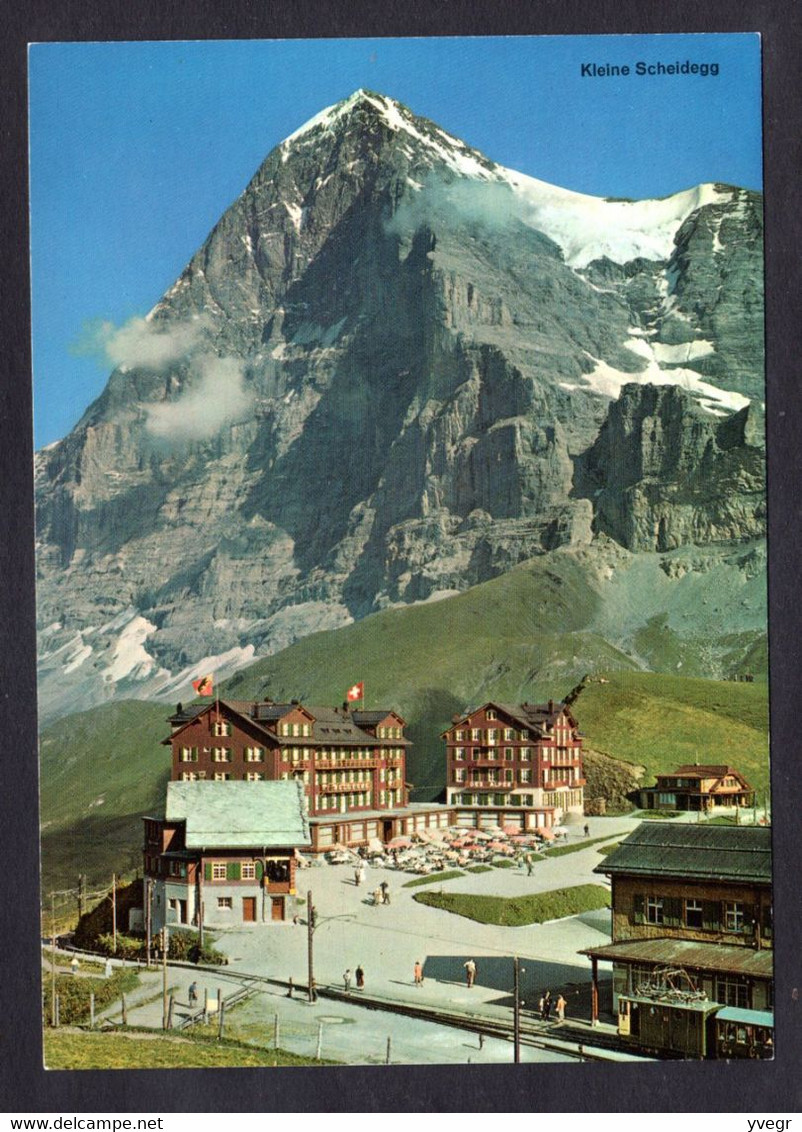 Suisse - Kleine Scheidebb Mit Eiger - La Gare ( N° 922 Verlag: A. Kiener Schwanden GL ) - Schwanden Bei Brienz