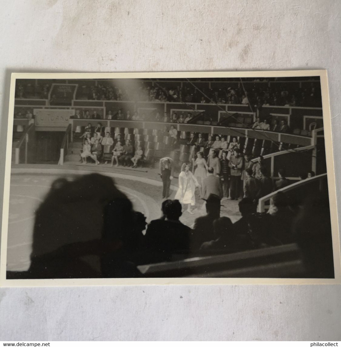 Circus - Cirque // Carte Photo - RPPC To Identify, Prob. Belgie No.10. // Sortie? 19?? - Circo