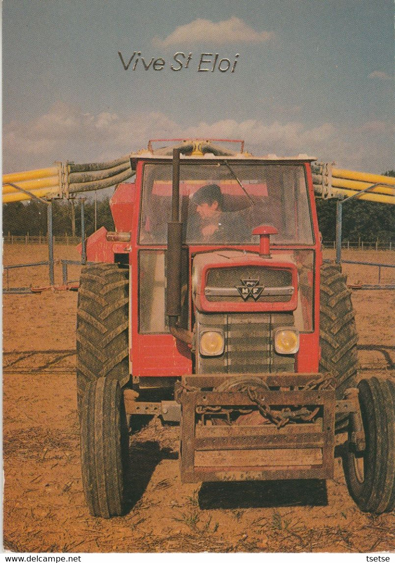 Agriculture - Tracteur MASSEY & FERGUSSON ... Travaux Des Champs - Trattori