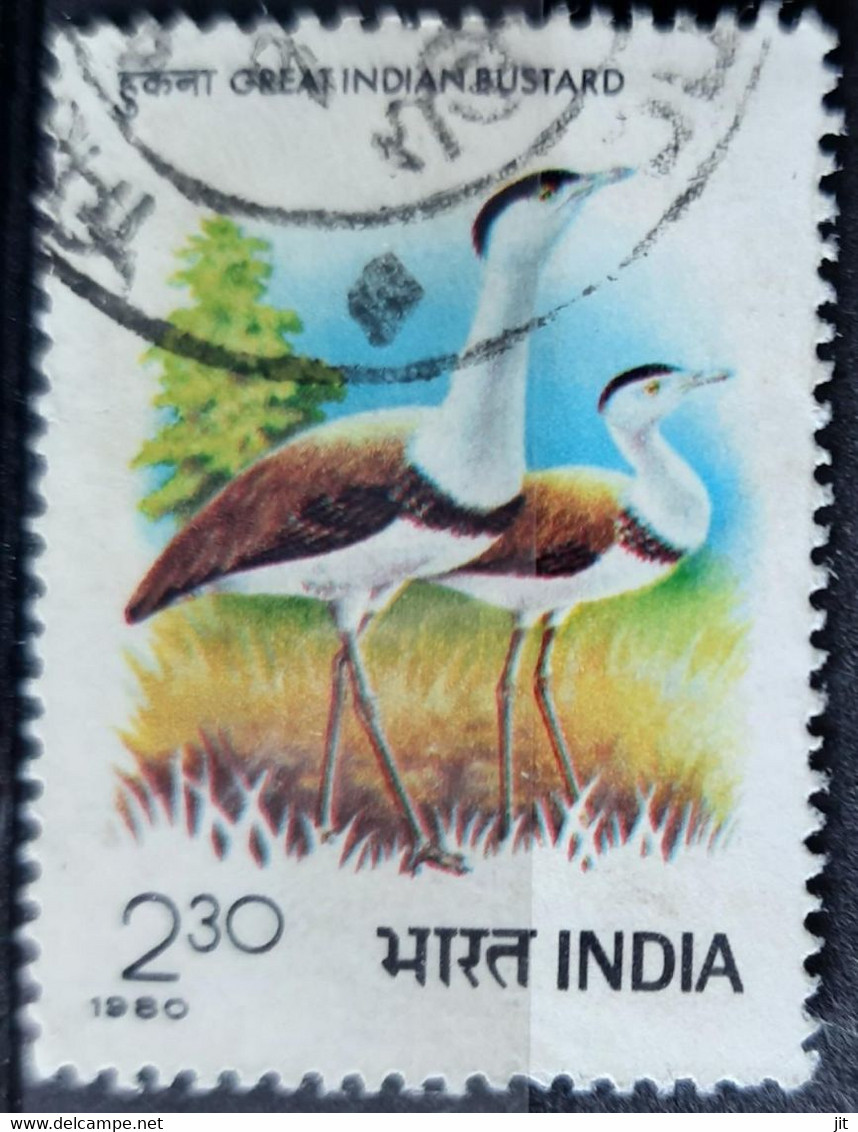 138. INDIA 1980 USED STAMP BIRDS, INDIAN BUSTARD . - Otros & Sin Clasificación