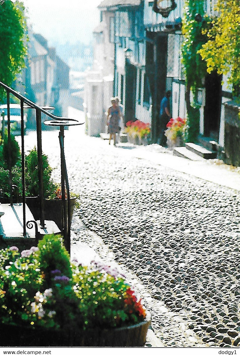 MERMAID STREET, RYE, SUSSEX, ENGLAND. UNUSED POSTCARD  F1 - Rye