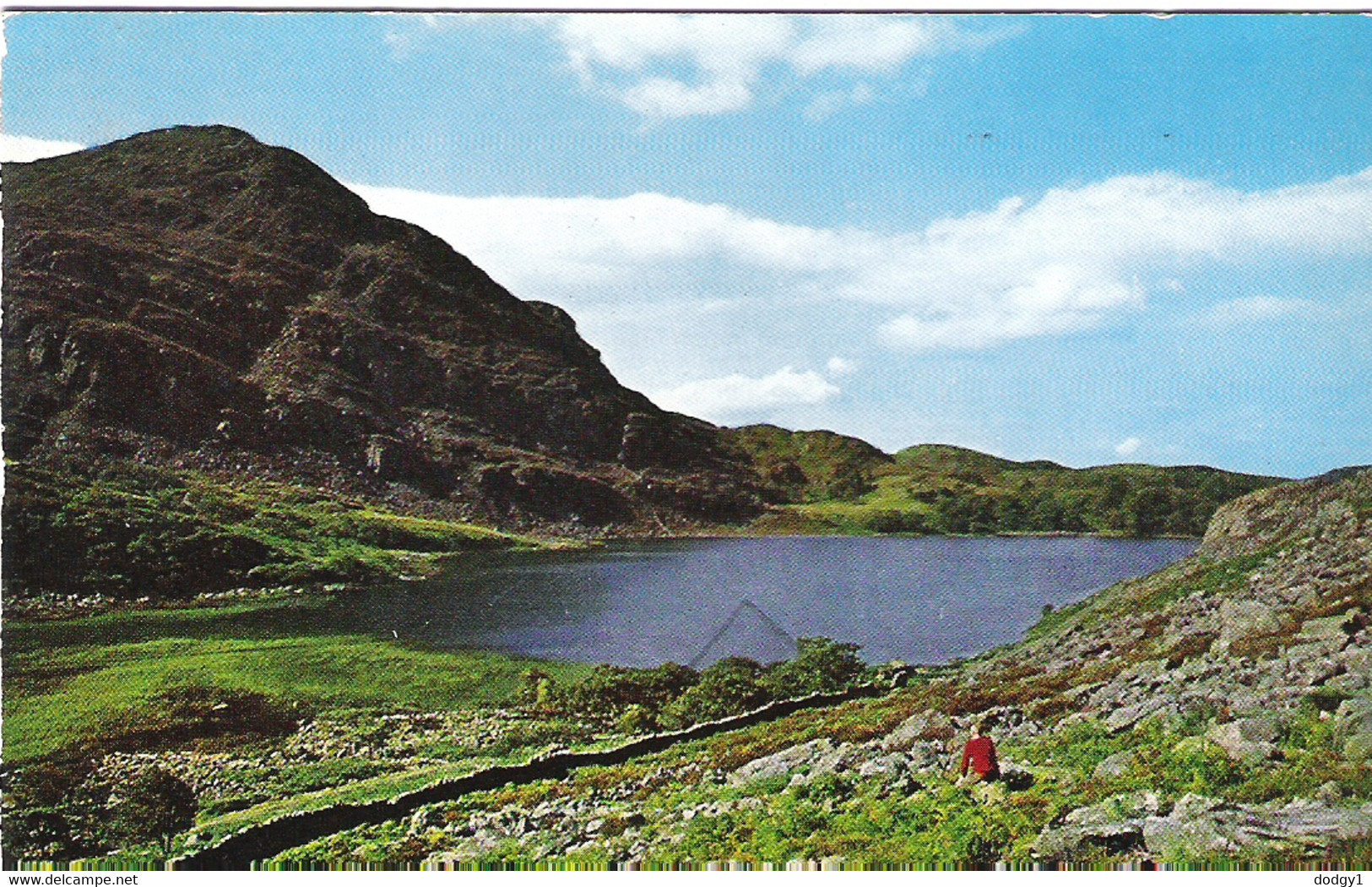 LLYN CWM BYCHAN, NEAR HARLECH, GWYNEDD, WALES.circa 1966 USED POSTCARD Fa8 - Merionethshire