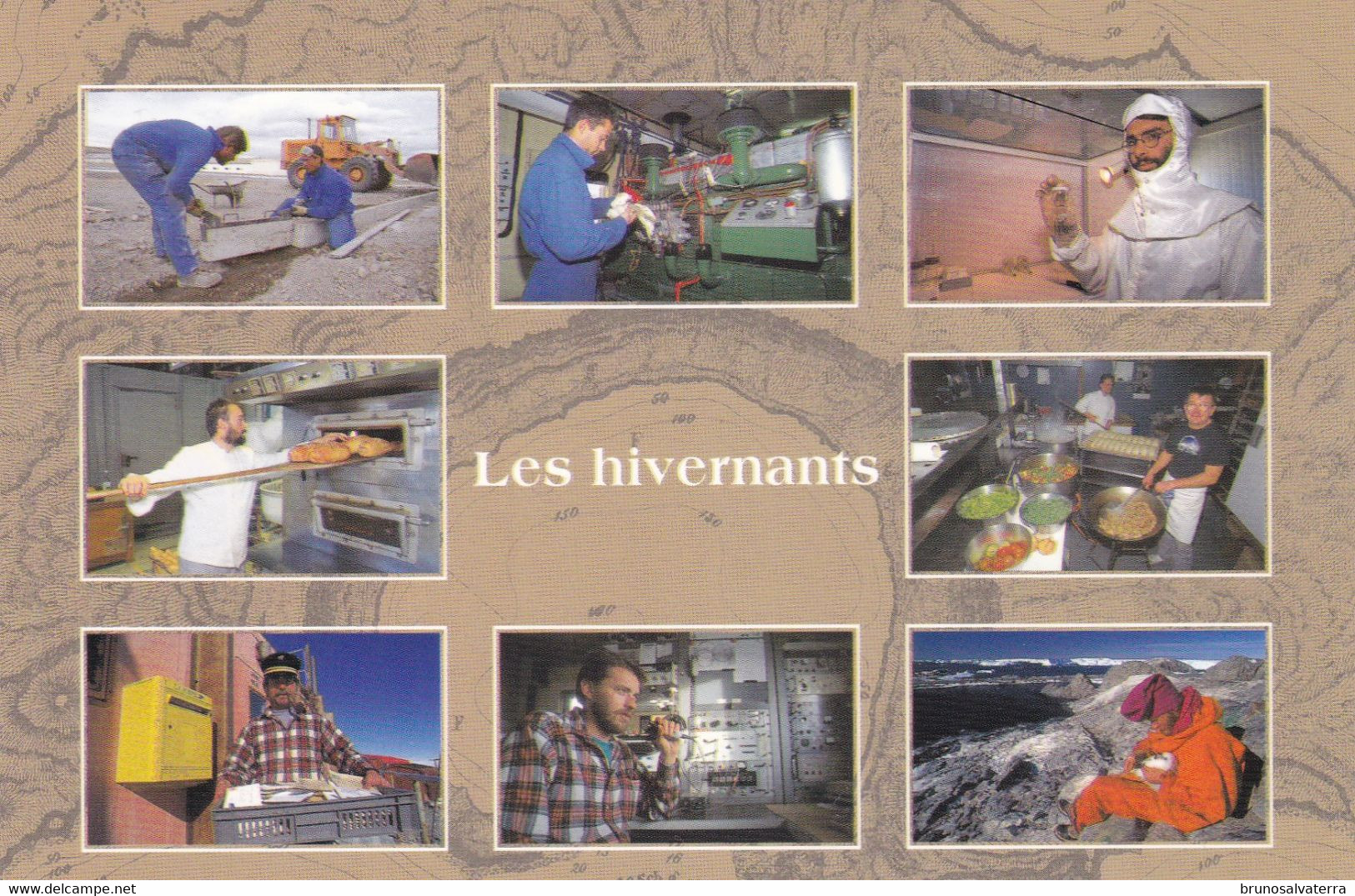 TERRES AUSTRALES ET ANTARCTIQUES FRANCAISES - Les Hivernants - TAAF : Franse Zuidpoolgewesten