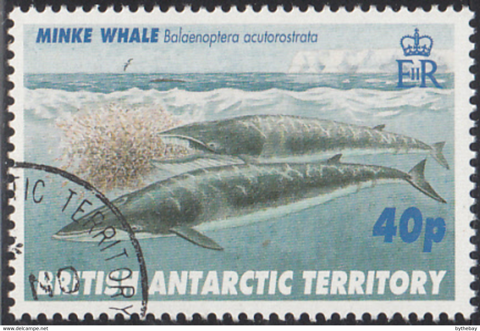 British Antarctic Territory 1996 Used Sc #246 40p Minke Whale - Gebraucht