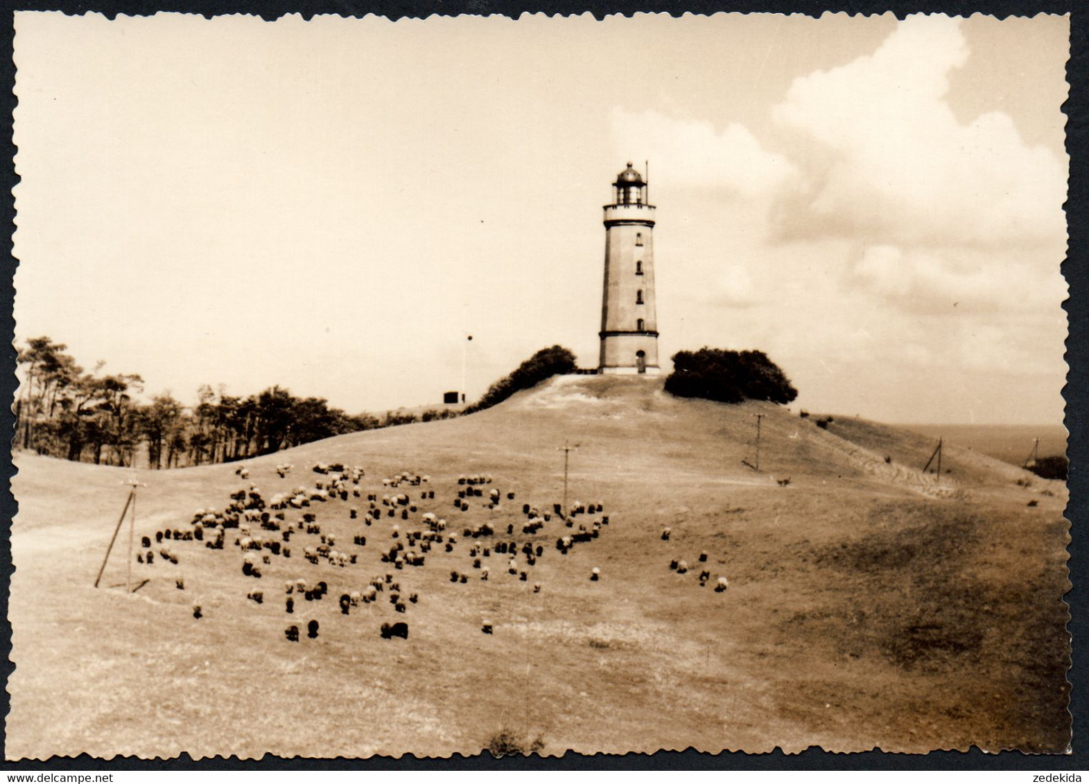 F1128 - TOP Hiddensee Koster Leuchtturm - Verlag HO Foto Stralsund - Hiddensee