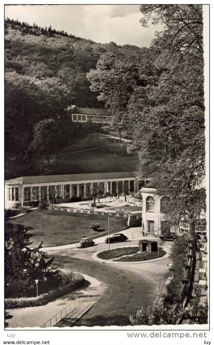 SCHLANGENBACH I. Ts., Partie Im Kurgarten - Schlangenbad