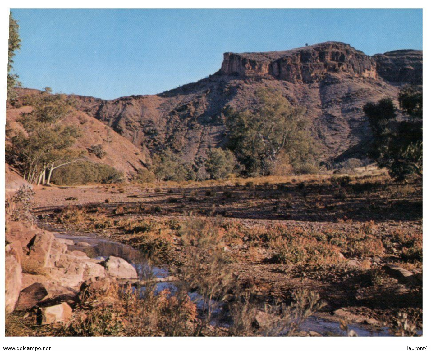 (PP 13) Australia - SA - Fliderts Range - Chamber's Gorge (1072-FR13) - Flinders Ranges