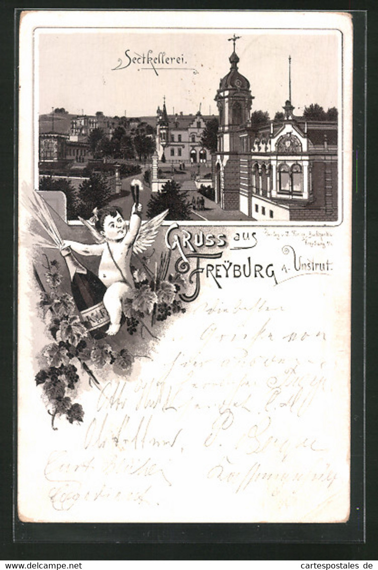 Vorläufer-Lithographie Freyburg / Unstrut, 1895, Blick Auf Die Sectkellerei, Engel - Freyburg A. D. Unstrut