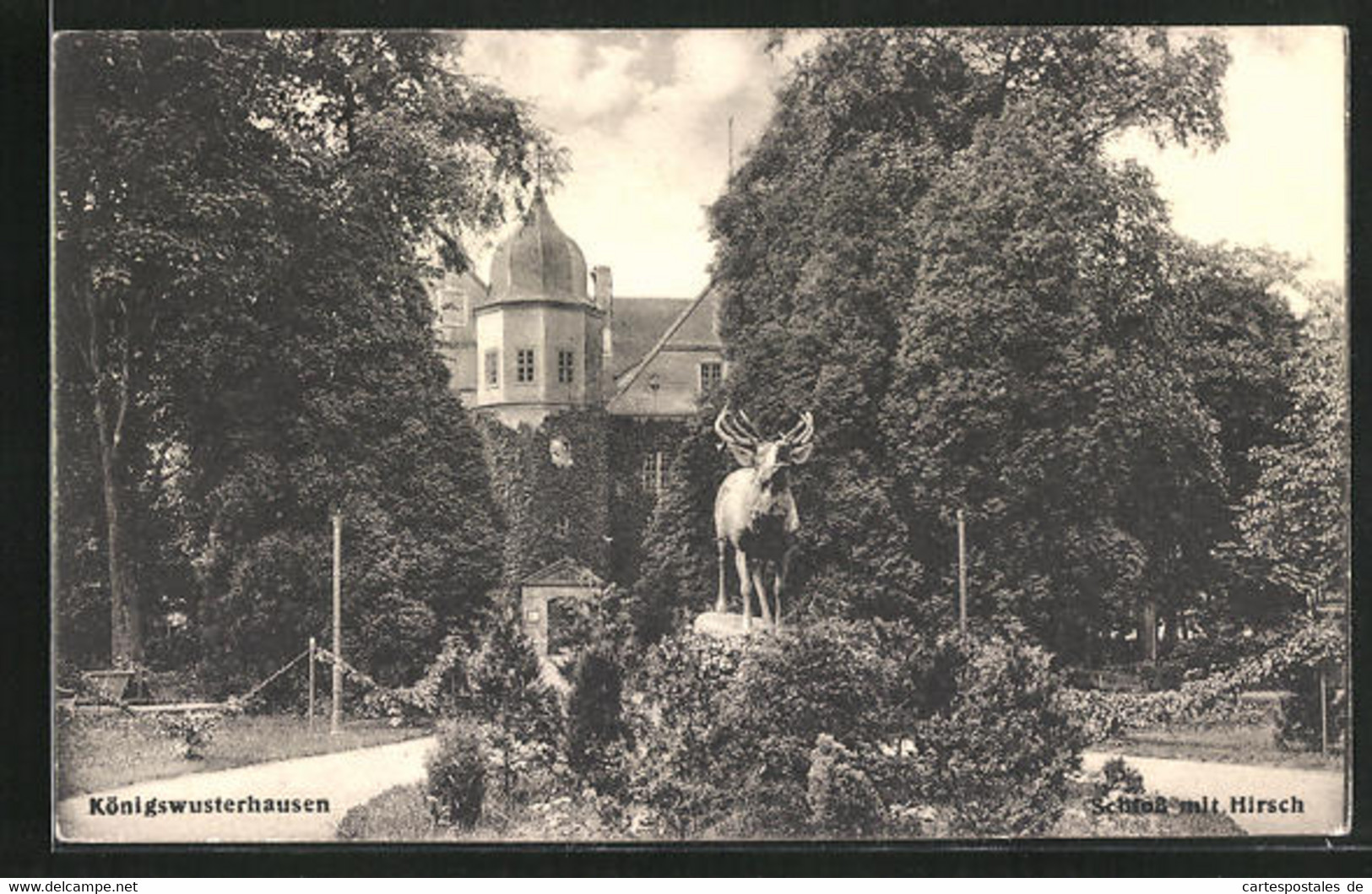 AK Königswusterhausen, Schloss Mit Hirsch - Königs-Wusterhausen