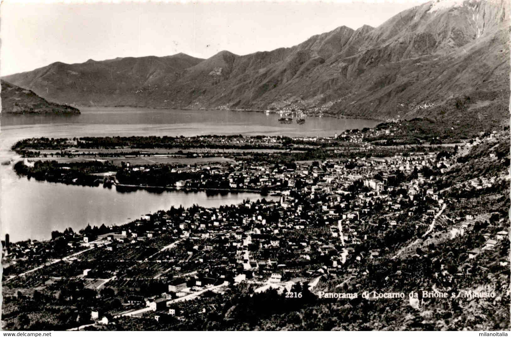 Panorama Di Locarno Da Brione S/Minusio (2216) * 9. 7. 1951 - Brione Sopra Minusio