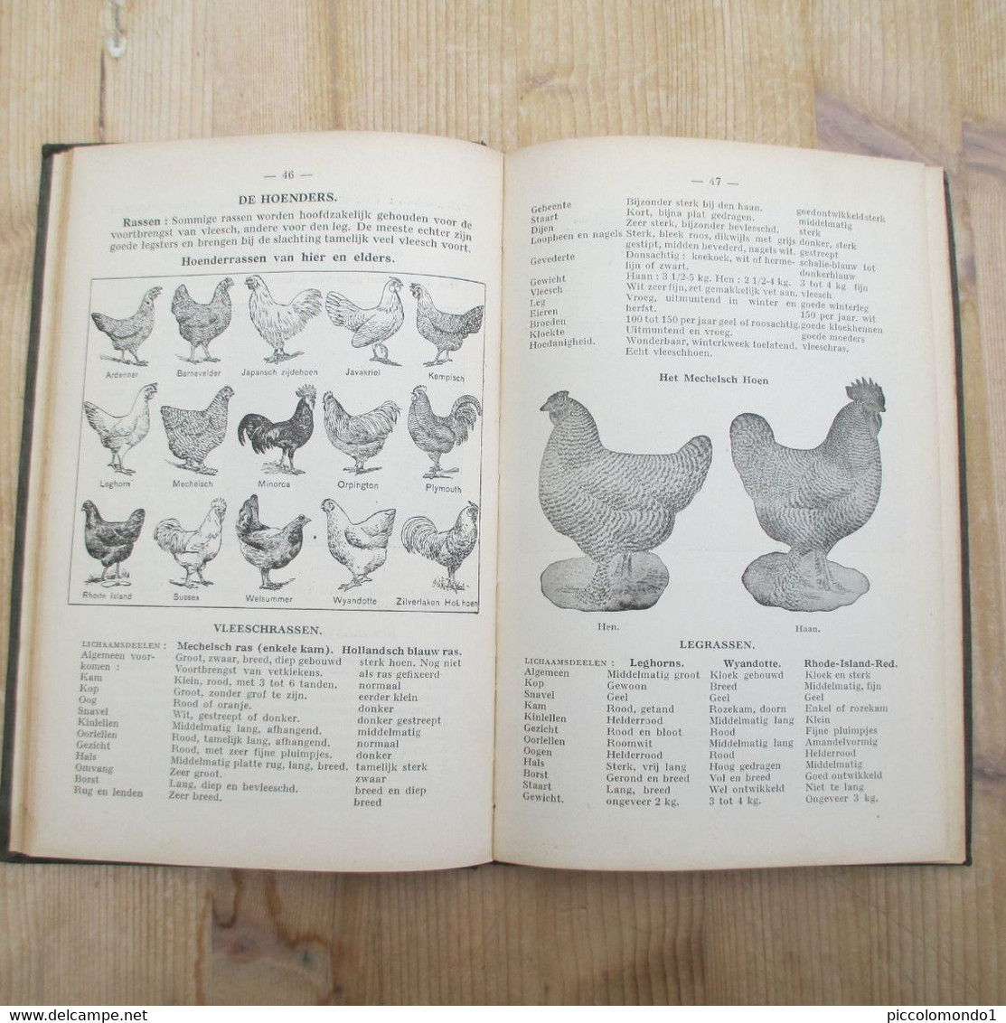 terug naar het land leerboek dierenteelt paard hoenders leghorn varken geit 1942 kleinvee landbouwschool