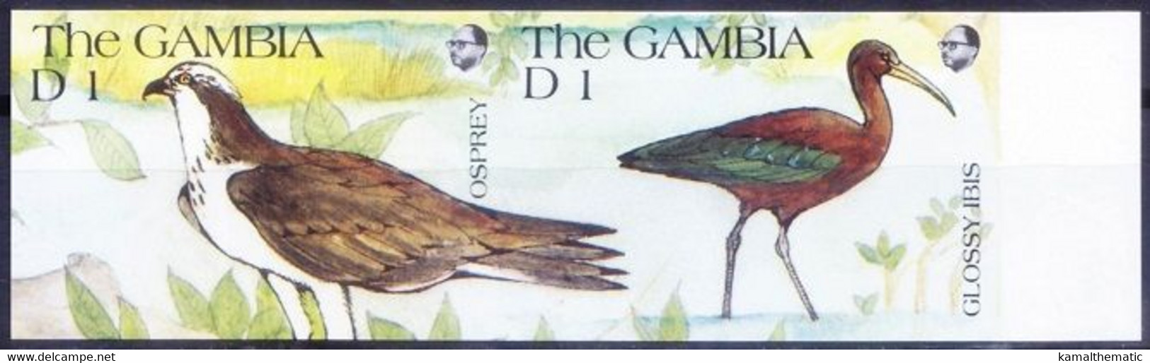 Gambia 1991 MNH Imperf, Osprey Eagle Birds Of Prey, Glossy Ibis - Adler & Greifvögel