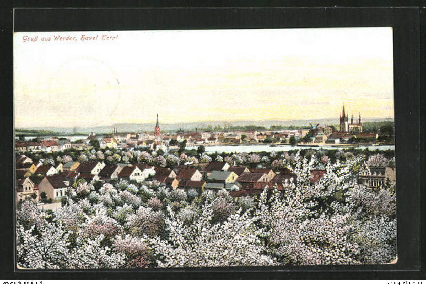 AK Werder An Der Havel, Totalansicht Mit Blick über Die Dächer Der Stadt - Werder