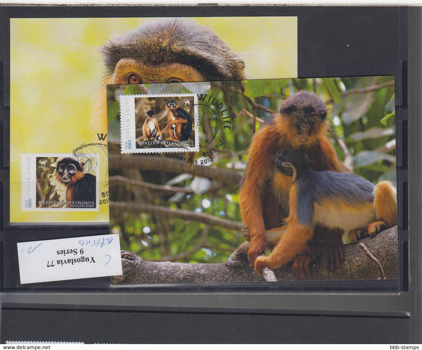 WWF Issue Michel Cat.No. Guinea Bissau Issued 2012 Monkey MC - Tarjetas – Máxima