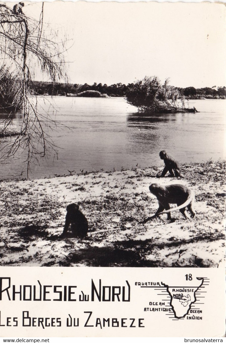 RHODESIE DU NORD - Les Berges Du Zambèze - Simbabwe