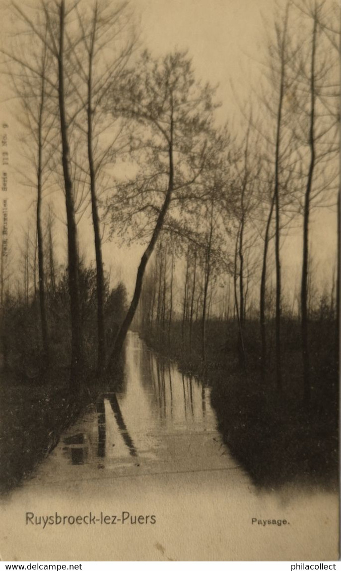 Ruysbroeck Lez Puers (Puurs) Paysage Ca 1900 - Puurs