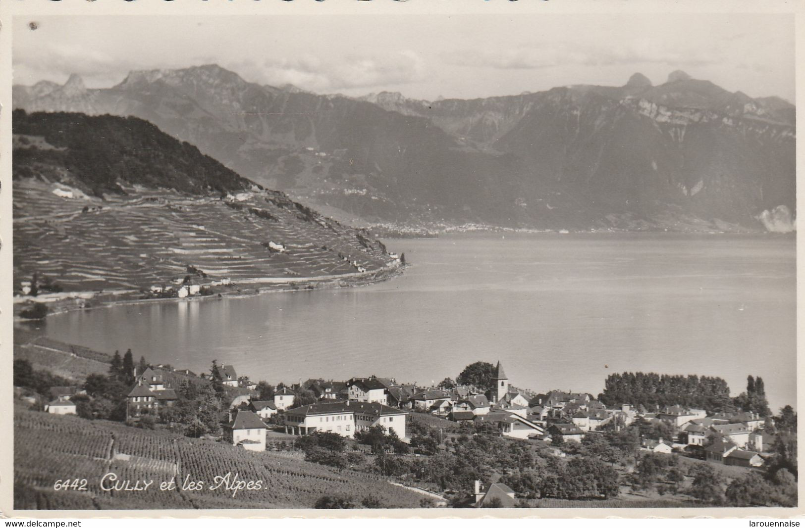 Suisse - CULLY - Et Les Alpes - Cully