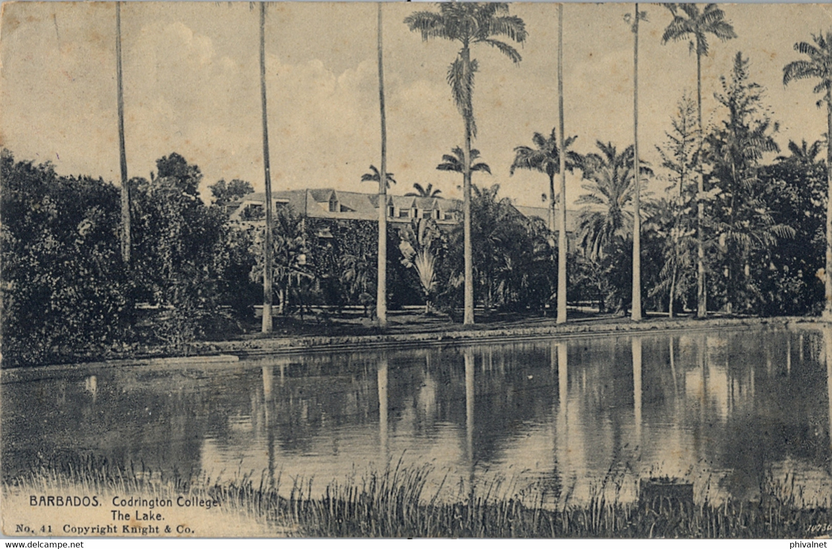 1912 BARBADOS , T.P. CIRCULADA , CODRINGTON COLLEGE , THE LAKE - Barbados