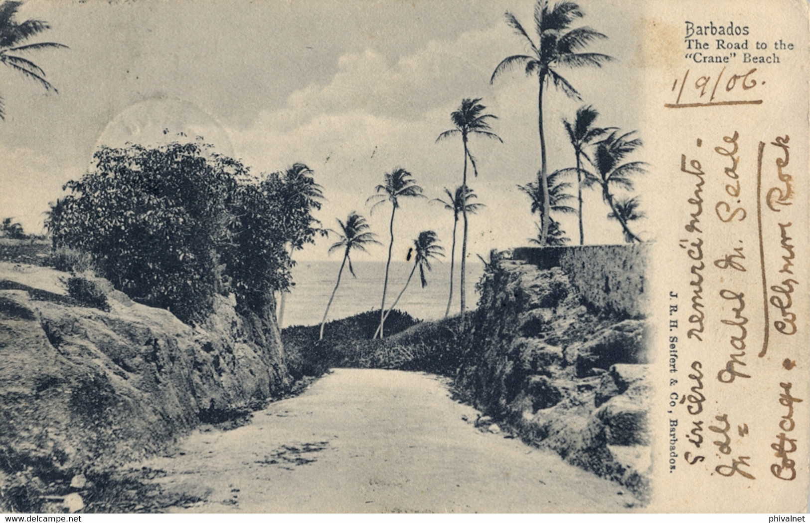1906 BARBADOS , T.P.  CIRCULADA , THE ROAD TO THE " CRANE " BEACH - Barbades