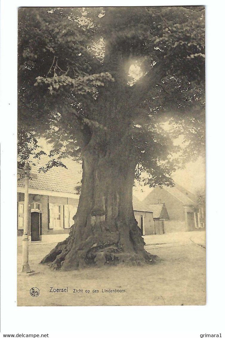 Zoersel  Zicht Op Den Lindeboom - Zoersel