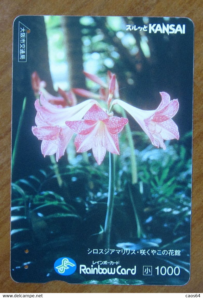 GIAPPONE Ticket Biglietto Fiori Flowers Fleurs - Kansai Railway Rainbow  Card 1.000 ¥ - Usato - Monde