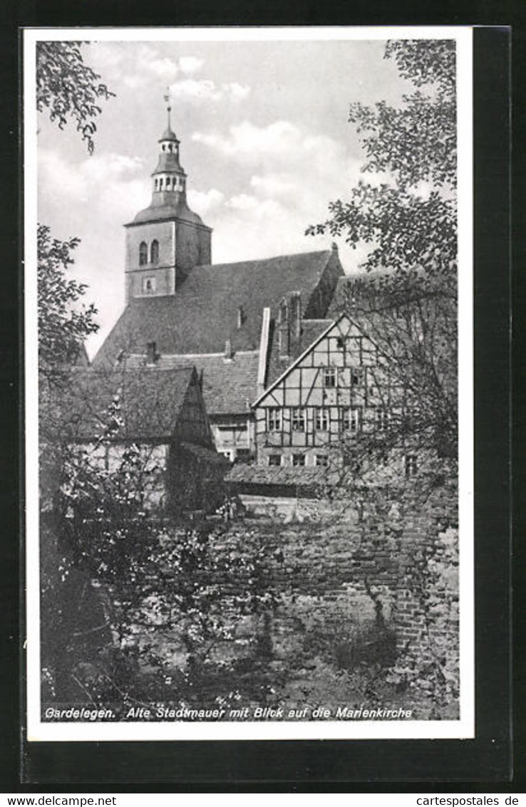 AK Gardelegen, Alter Stadtmauer Mit Blick Auf Die Marienkirche - Gardelegen