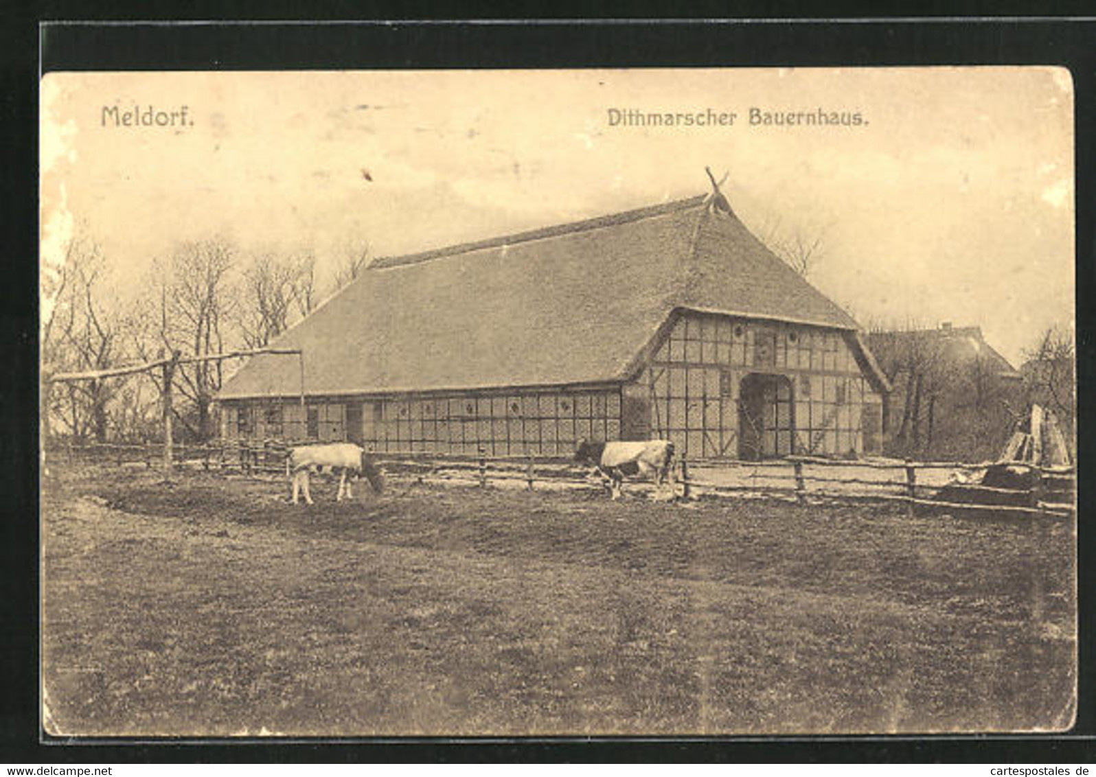 AK Meldorf / Holstein, Dithmarscher Bauernhaus - Meldorf