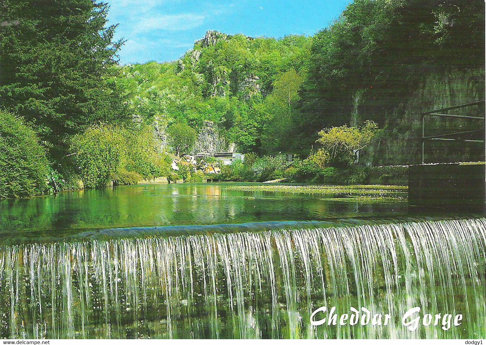 THE WATERFALL, CHEDDAR GORGE, SOMERSET, ENGLAND. USED POSTCARD Fq8 - Cheddar