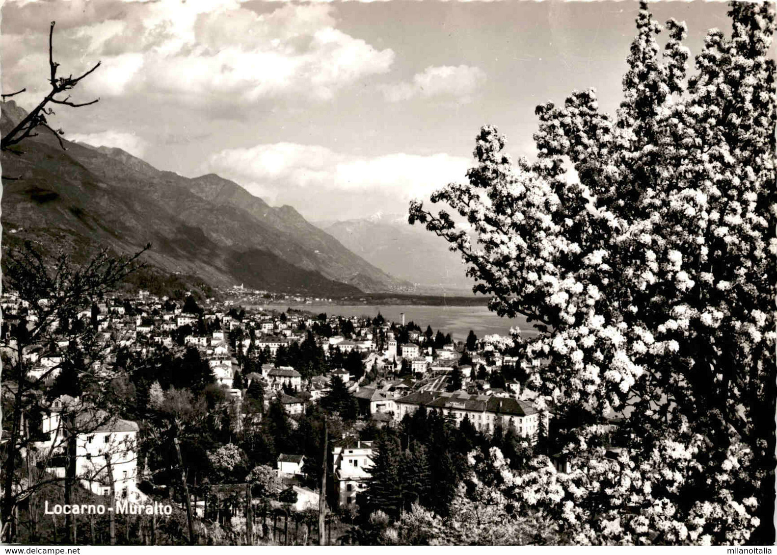 Locarno - Muralto - Muralto