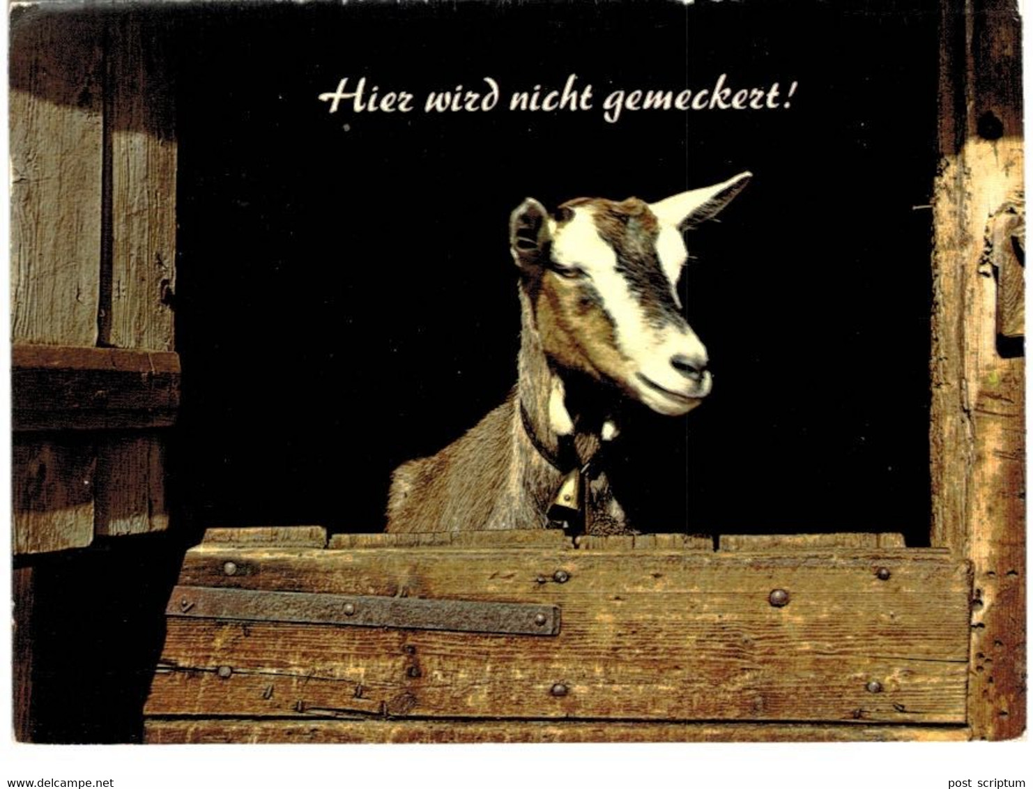 Lot   - Thème - Animaux -  Chèvre Bouquetin Chamois Isard- 68 Cartes - 5 - 99 Postkaarten