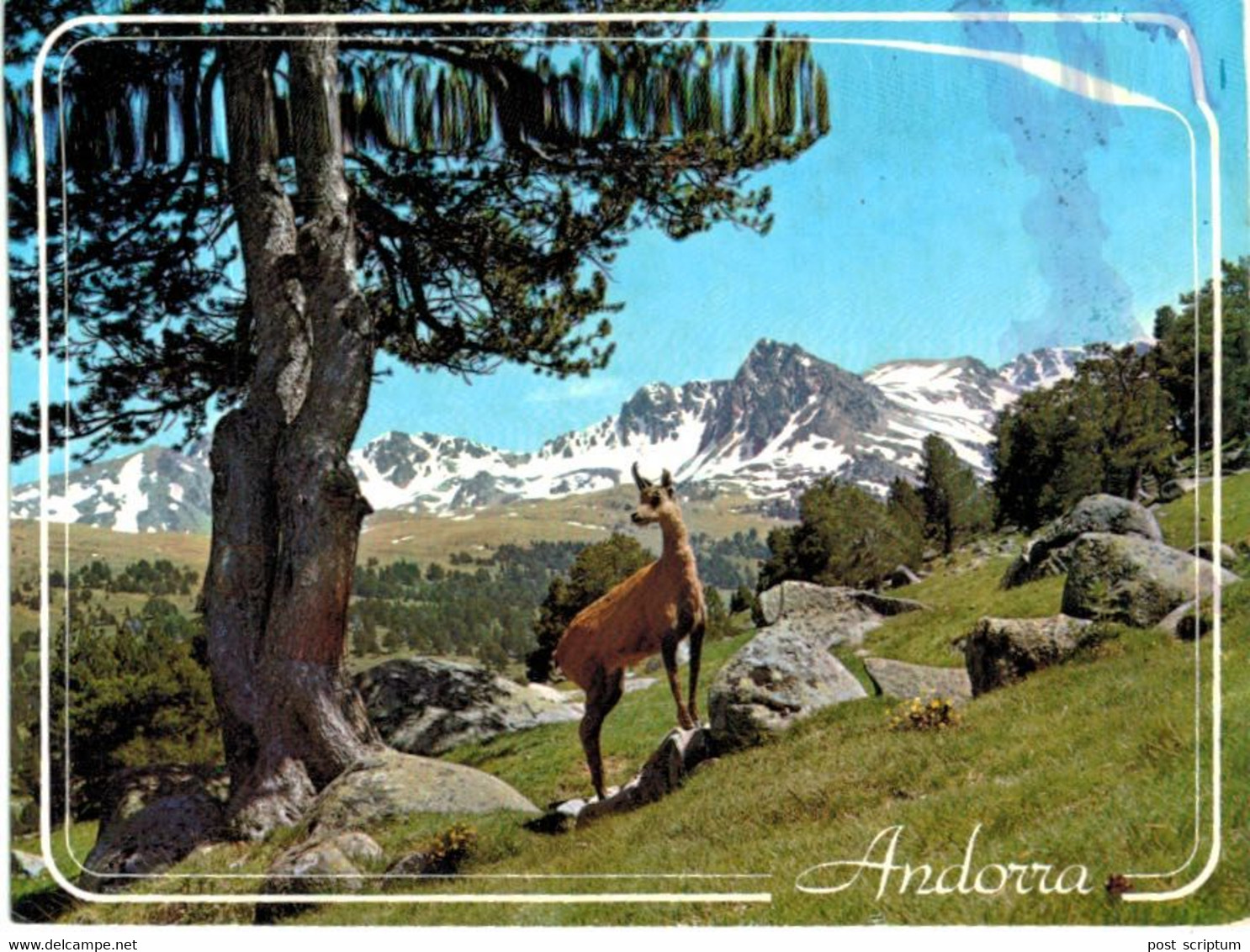 Lot   - Thème - Animaux -  Chèvre Bouquetin Chamois Isard- 68 Cartes - 5 - 99 Postkaarten