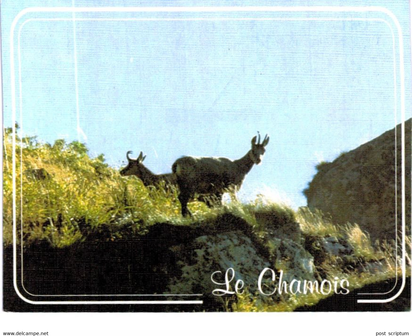 Lot   - Thème - animaux -  chèvre bouquetin chamois isard- 68 cartes