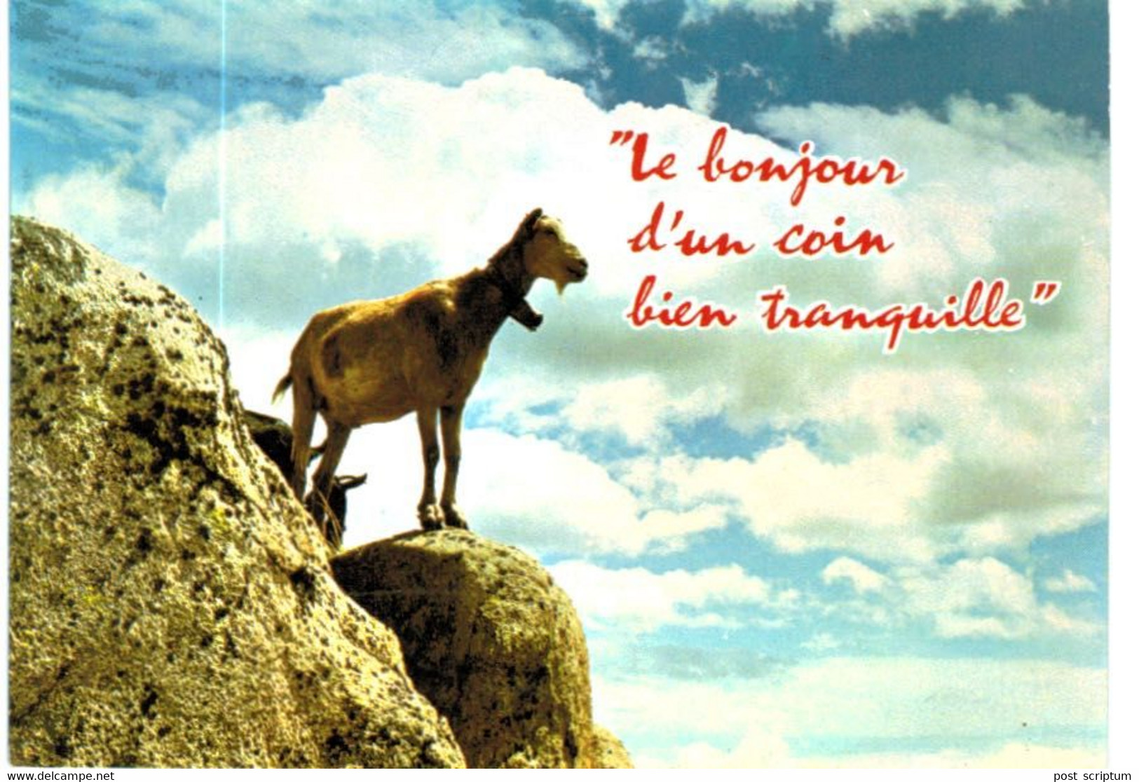 Lot   - Thème - animaux -  chèvre bouquetin chamois isard- 68 cartes