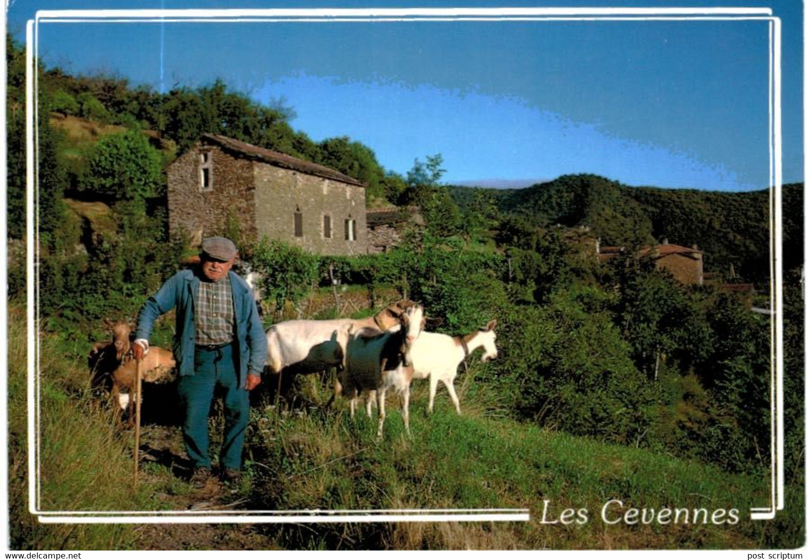Lot   - Thème - animaux -  chèvre bouquetin chamois isard- 68 cartes