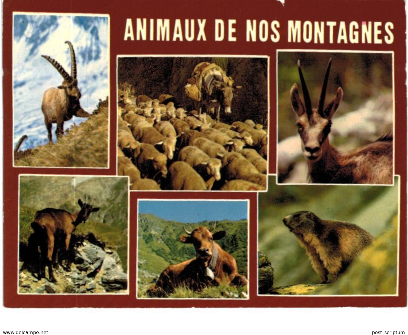 Lot   - Thème - animaux -  chèvre bouquetin chamois isard- 68 cartes