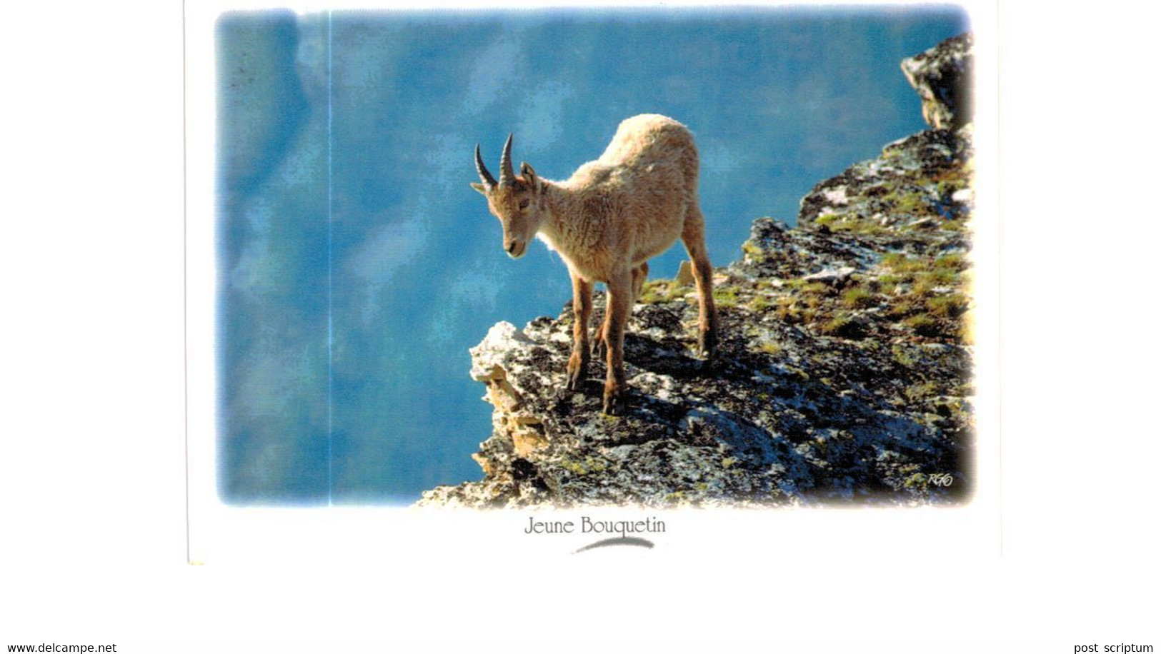 Lot   - Thème - animaux -  chèvre bouquetin chamois isard- 68 cartes