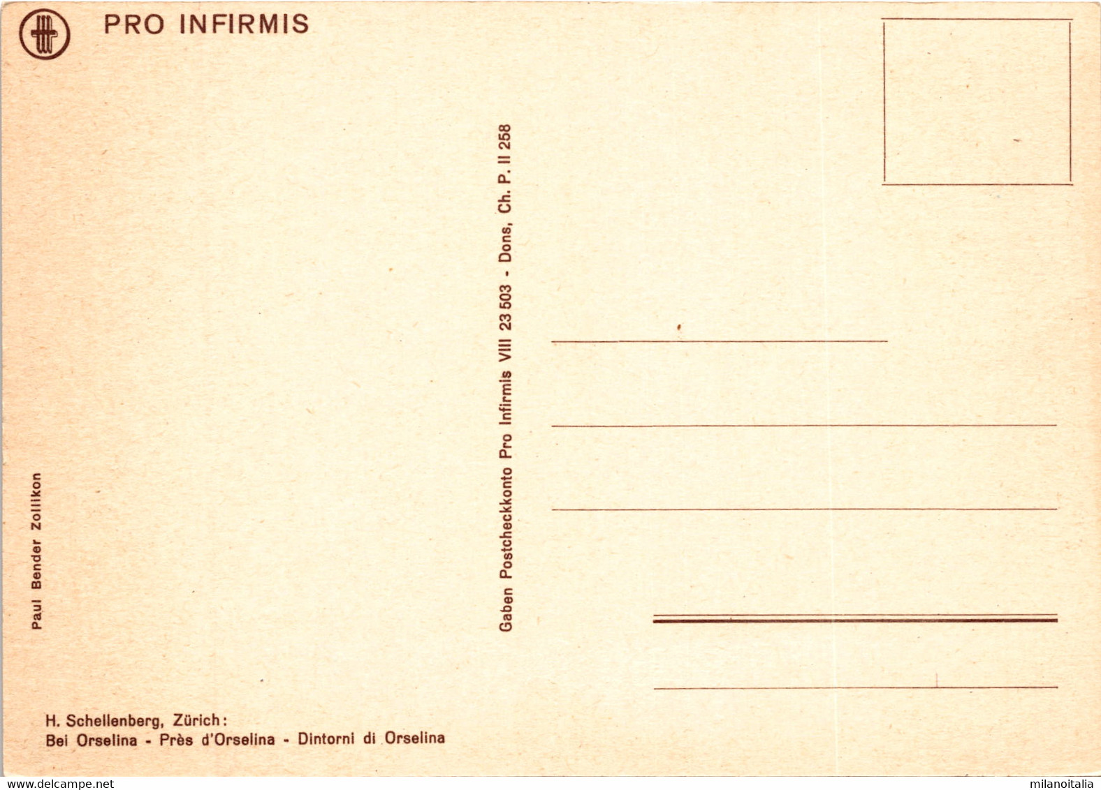 Bei Orselina - Dintorni Di Orselina - Orselina