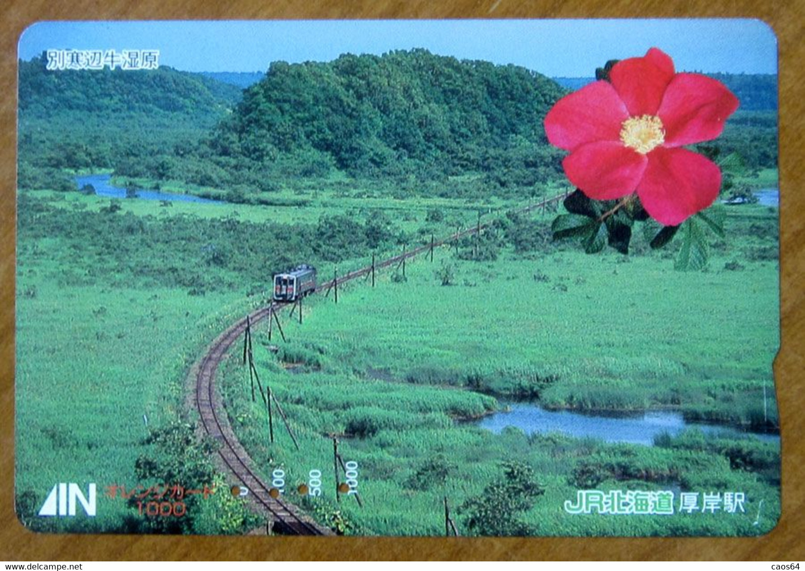 GIAPPONE Ticket Biglietto Treni Fiori -  Train  Railway JR Card 1000 ¥ - Usato - Welt