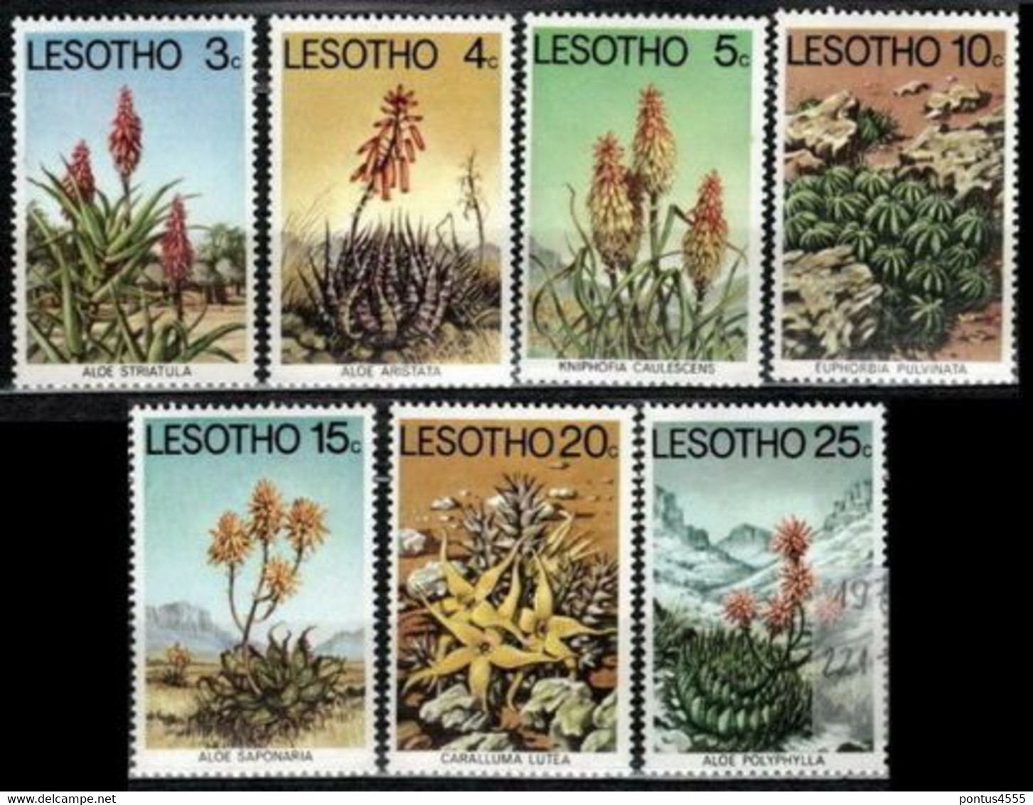 Lesotho 1977 Mi 221-227 Aloes And Succulents - MNH - Lesotho (1966-...)