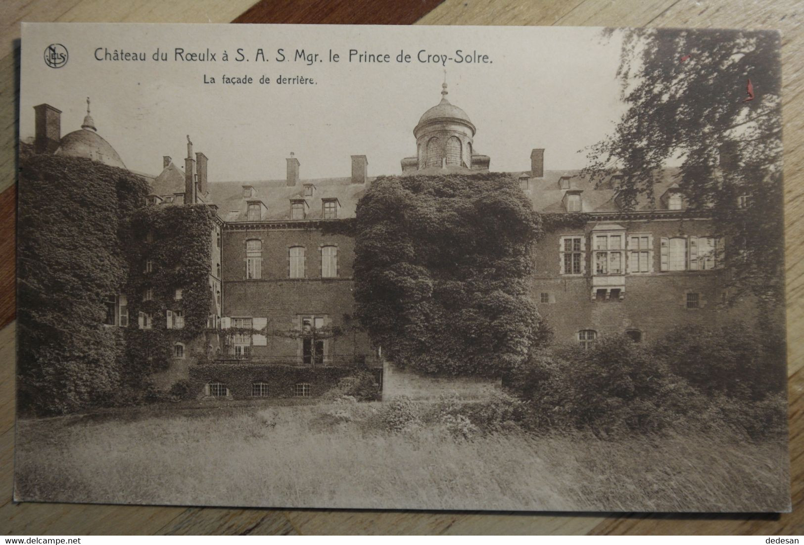 Cpa Chateau Du Roeuls à SAS Mgr Le Prince De Croy Solre Façade De Derriere - TZZ03 - Le Roeulx