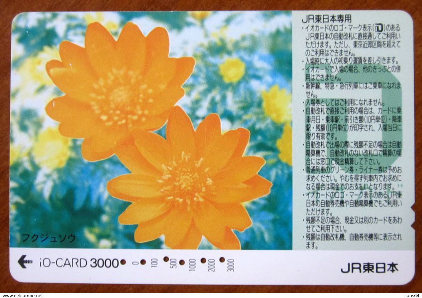 GIAPPONE Ticket Biglietto Treni - Fiori Flower Railway  IO Card 3.000 ¥ - Usato - World