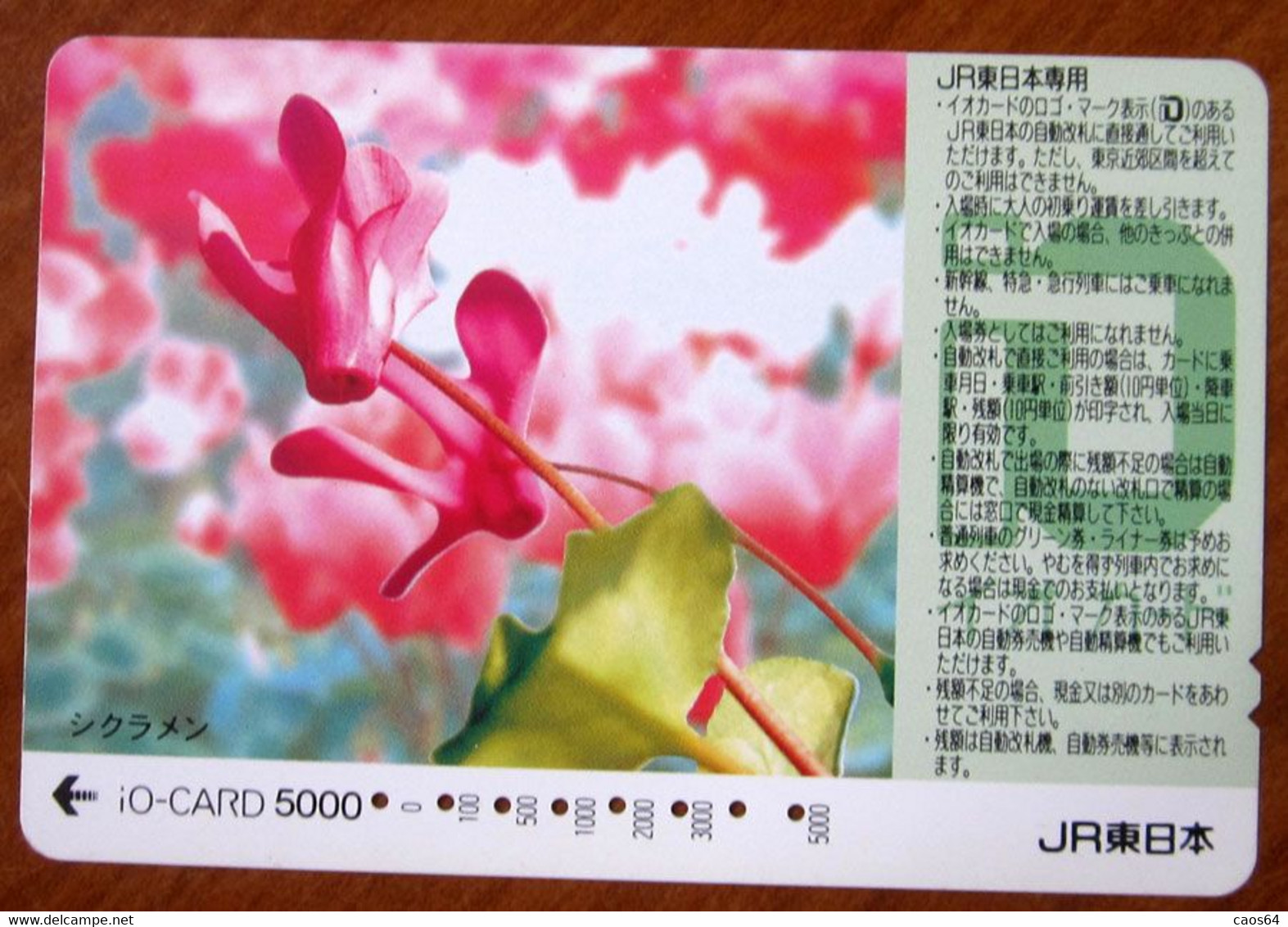 GIAPPONE Ticket Biglietto Treni - Fiori Flower Railway  IO Card 5.000 ¥ - Usato - Mundo