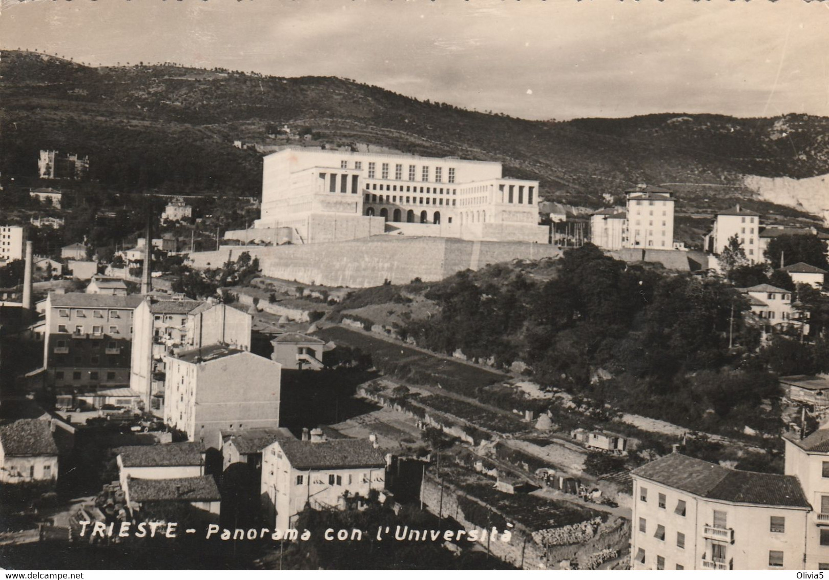 TRIESTE - PANORAMA CON L'UNIVERSITA' - Trieste