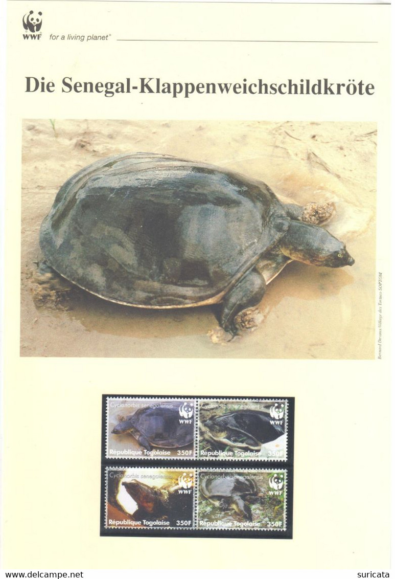 Togo 2006 - WWF Die Senegal-Klappenweichschildkröte - Komplettes Kapitel Postfrisch MK FDC - Other & Unclassified